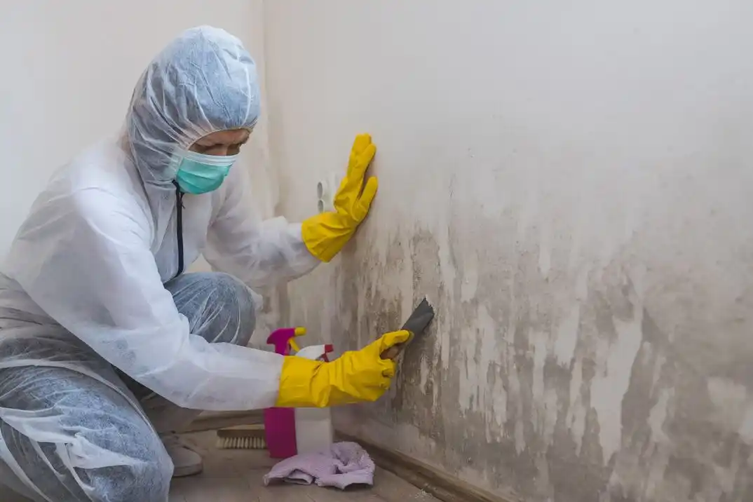 water damage restoration service Boothwyn